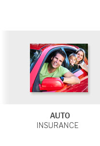 Renters Insurance Dallas Tx 🟨 Feb 2026